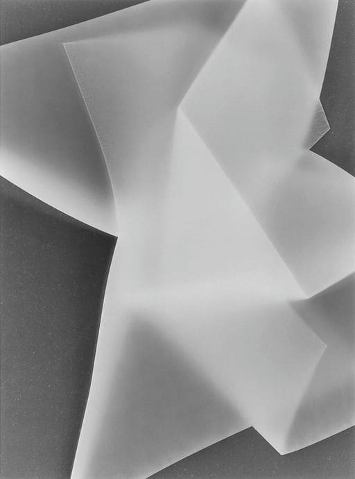 Untitled (Photogram #3)
