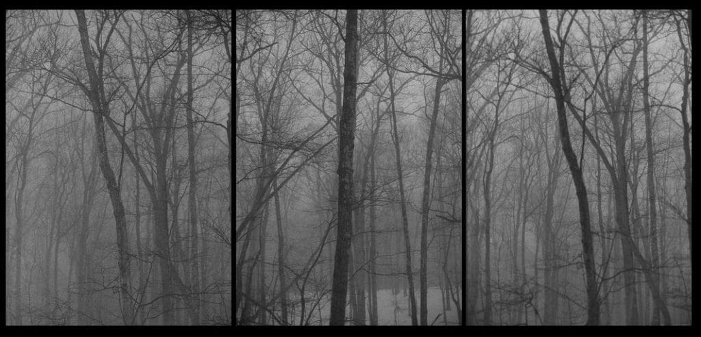 New Found Lands (Woods)